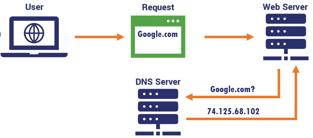 Domain Name Server